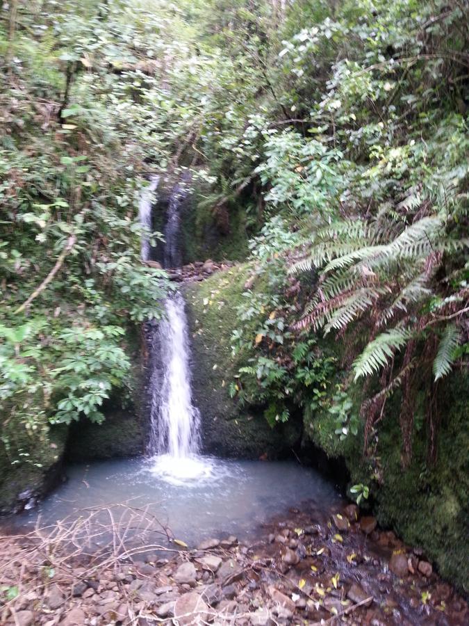 Kotare Ridge Bed and Breakfast Waihi Exteriör bild