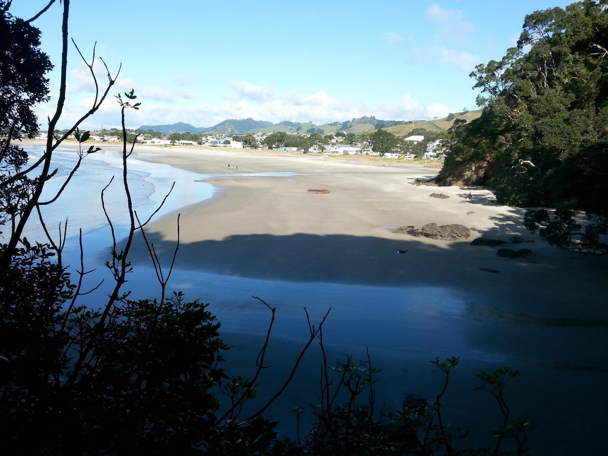 Kotare Ridge Bed and Breakfast Waihi Exteriör bild
